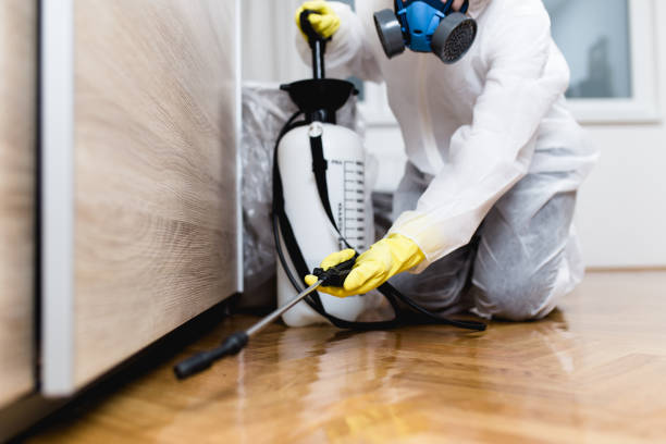 Best Commercial Pest Control Services  in Eldorado At Santa Fe, NM