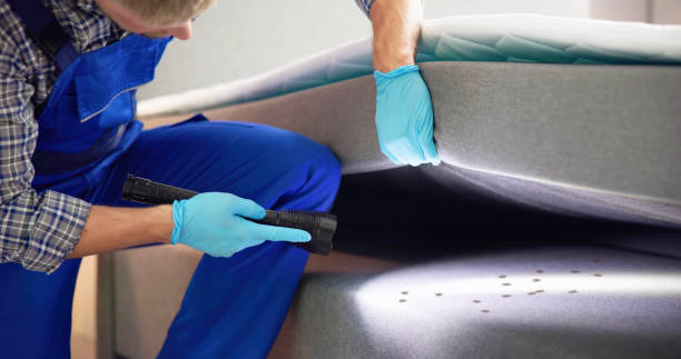 Best Residential Pest Control  in Eldorado At Santa Fe, NM